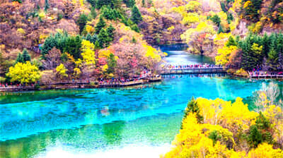 �������կ��6����|�ɶ�/������OR��è��԰/��կ��/����