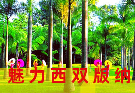 ���ΰ��ɣ�̫ԭ-��������/�ն�/��˫���� ˫��1��5��6�մ�����