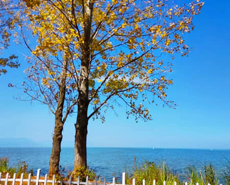 ���ΰ��ɣ�̫ԭ-��������/�ն�/��˫���� ˫��1��5��6�մ�����