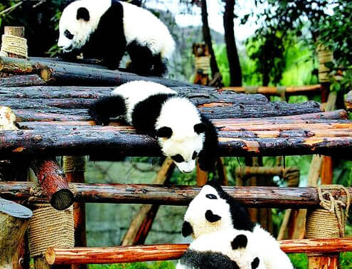 ����ϯ�Ĵ���̫ԭ���Ĵ�ȫ���ݻ�7����