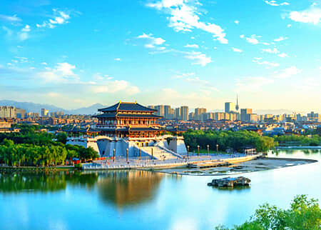 �����ɲ-��������/����/����������