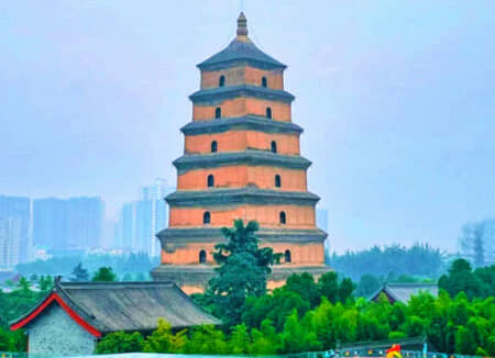 ��������-��������/���ڰ�����˫��������