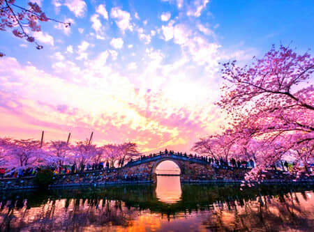 ������ȫ����̫ԭ���������С�ȫ��������Ʒ�ʴ���