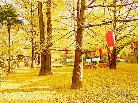 Ʒζ�ڳ� ̫ԭ-����-â��/����/�ڳ�˫��6��