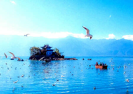 ��Υ��•��˫���ɰ���  ����ح�ն�ح��˫���� ˫��һ��5��6��