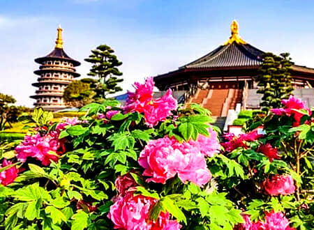 ̫ԭ������ĵ�����ʳ��ฮ������