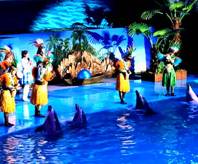 ���������껪����˳����ʯ̲������������������������ϻ�̲����԰��ɭ�ֶ���԰��ѡһ����Ʒ��5����