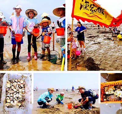 ��С������������ʽ˫��������