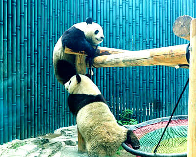 ����ͯȤ-��������˫��4����