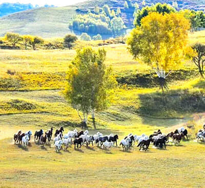 �з�����-�浺������Ȫ��԰|ɽ���عų�|��������|����ɽׯ|ľ��Χ��������ͳ|׷�ΰ��ϲ�ԭ����|��ԭƯ��˫��6����