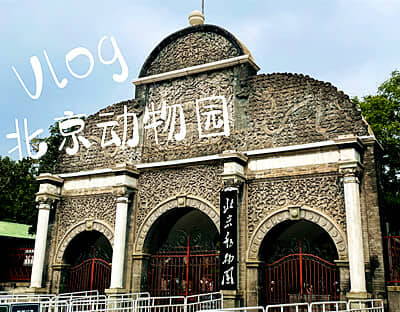 ������ͯȤ��-���ű���ȥ����˫����������