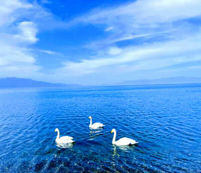 ���桾�Ͻ���