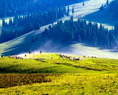 ������❤����˹��̫ԭ/��³ľ��/�ɿ��к�/����˹����/��ľ��/���̲/��ɽ���/������/��ľ����ɳĮ/������˫��10����/˫��8��