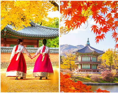 �òʺ����׶�+���ݵ��ķ�������