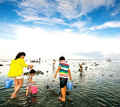 ̫ԭ���������ӷ�����˫��5����