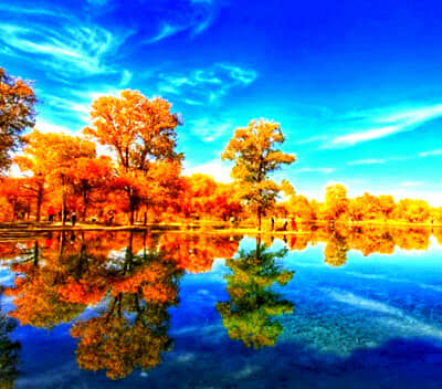 ���������ɡ� ����-��Ҵ�߲ʵ�ϼ-��Į��������-���Ӻ��ճ�-������������-�͵�����ɳĮ-����ʤ��6����