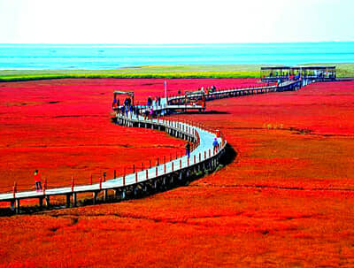 ����������«��/�̽��캣̲/��Զ�ų�ɽ�������ി��0�Է�������