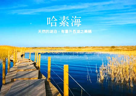 童趣内蒙古--双动4日游